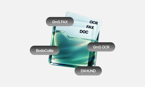 DOCUMENT AX